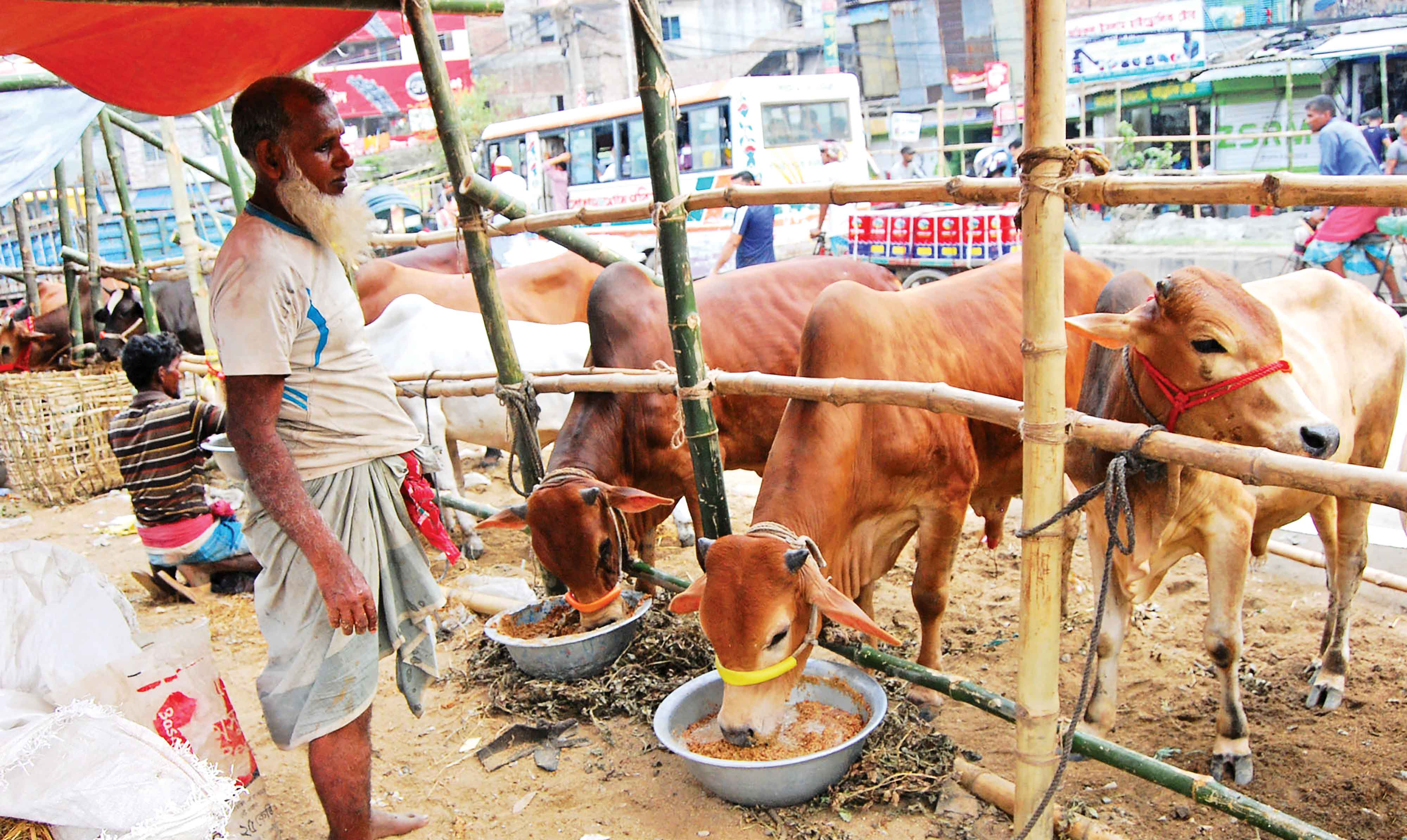 আগেভাগেই রাজধানীতে হাট