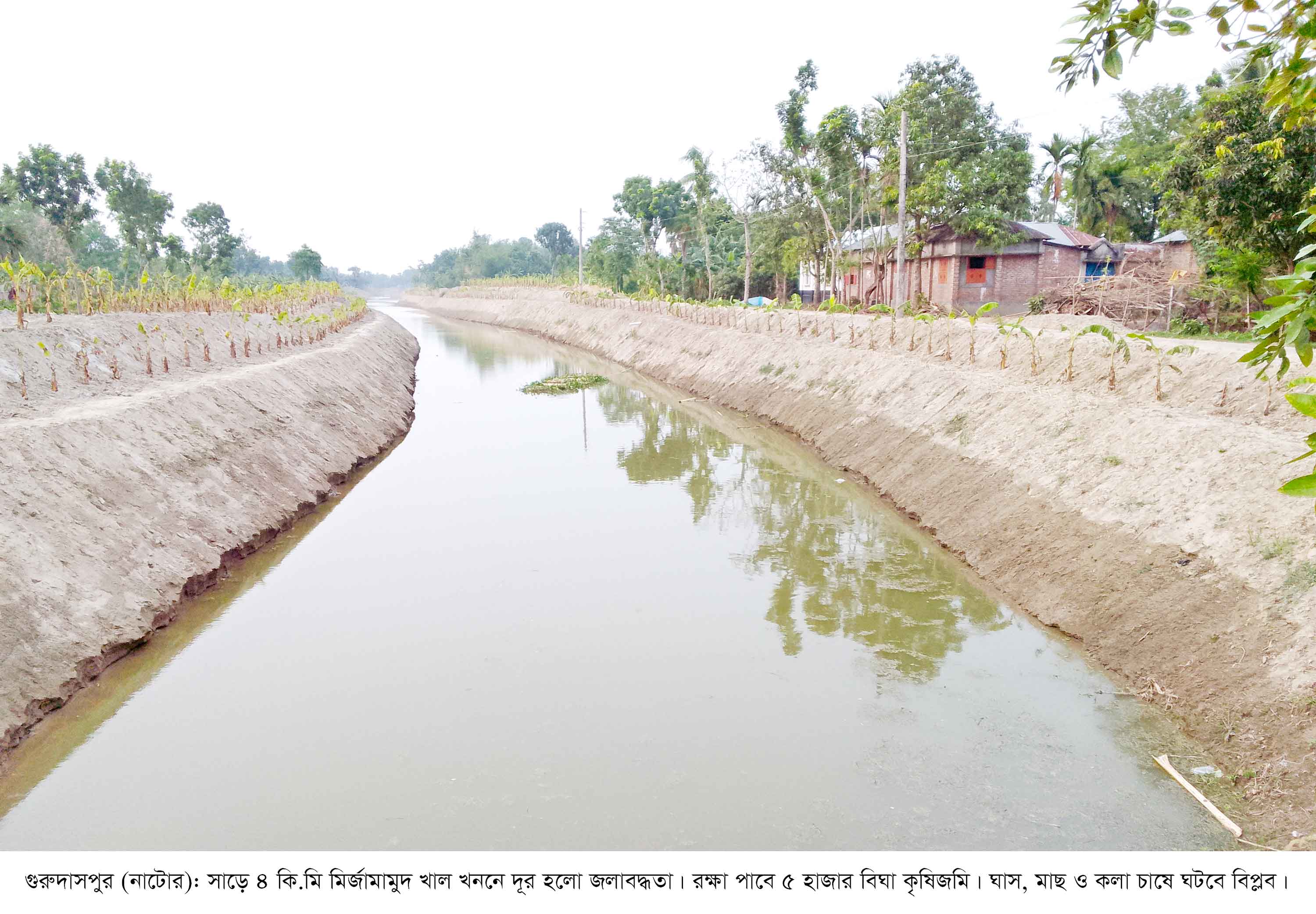 গুরুদাসপুরে খাল খননে দূর হলো জলাবদ্ধতা