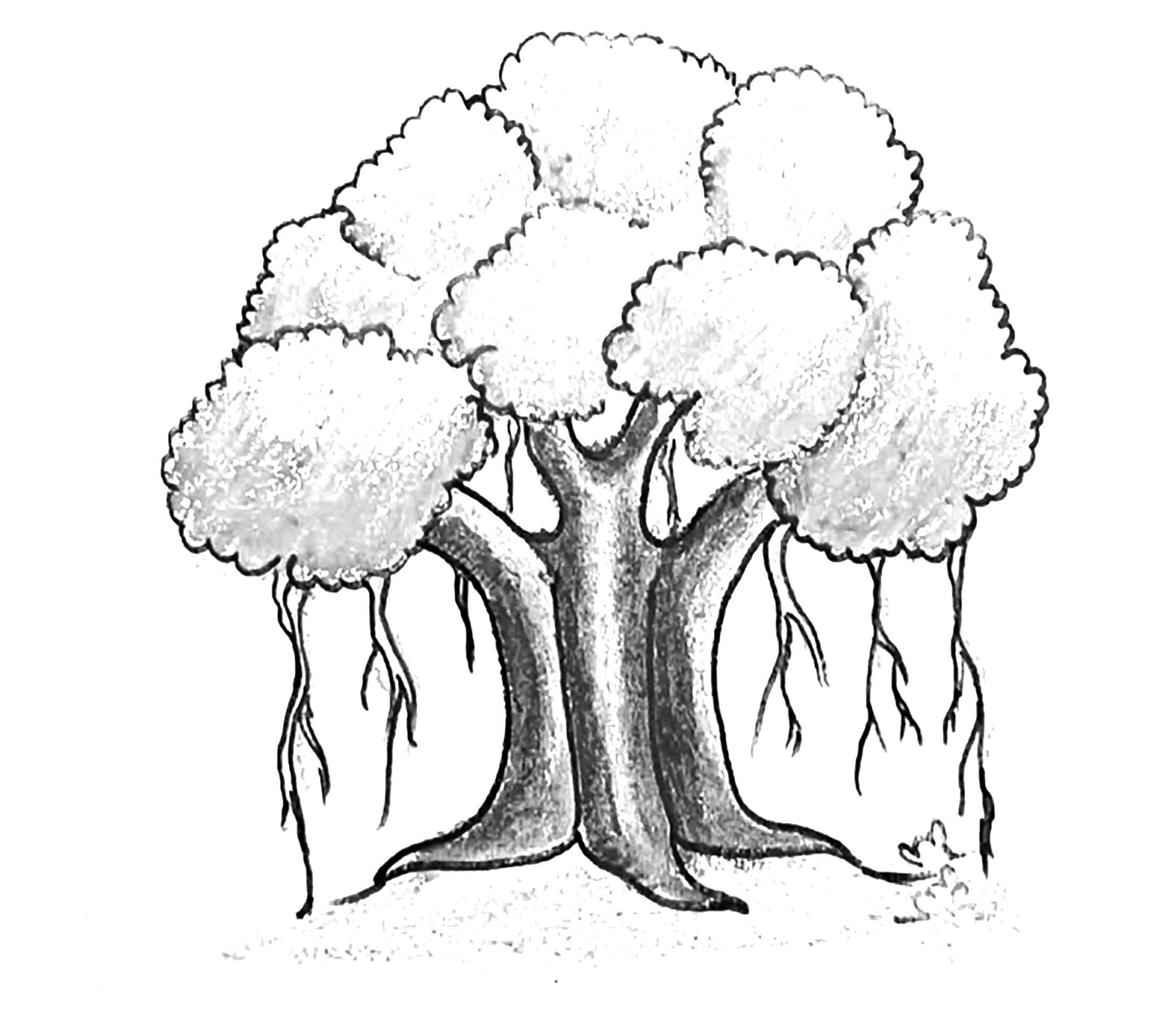 পঞ্চম শ্রেণির বাংলা
