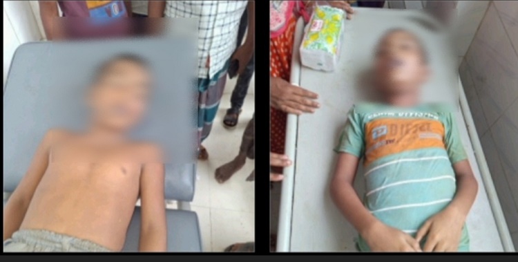 পুকুরে সাঁতার কাটতে গিয়ে প্রাণ গেল দুই মাদ্রাসা ছাত্রের