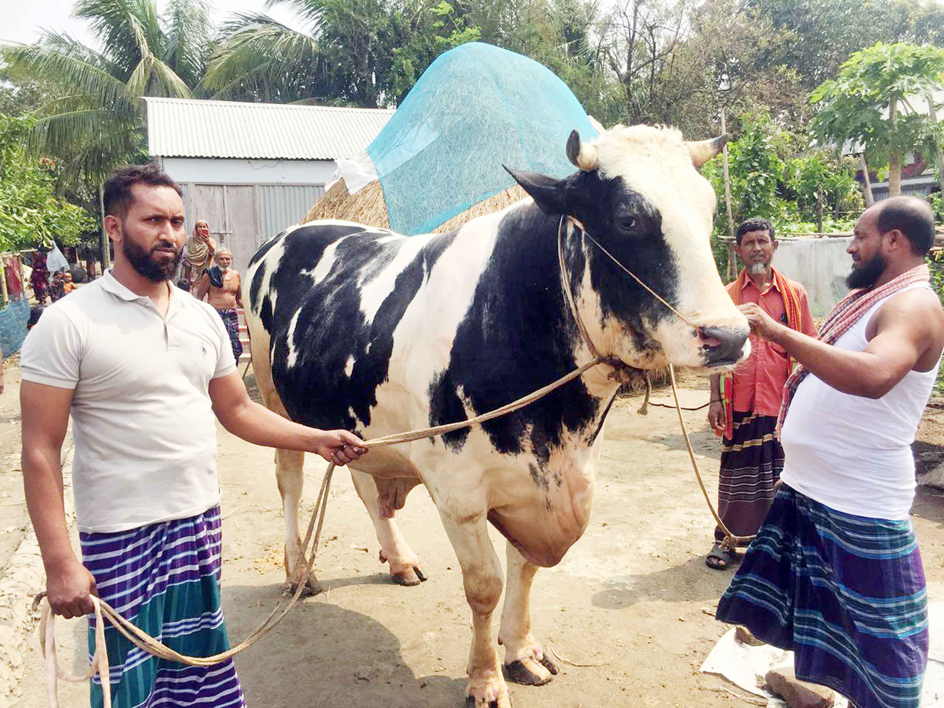 ১০ লাখ হলে ছেড়ে দেবেন এক টন ওজনের 'কালো মানিক'কে