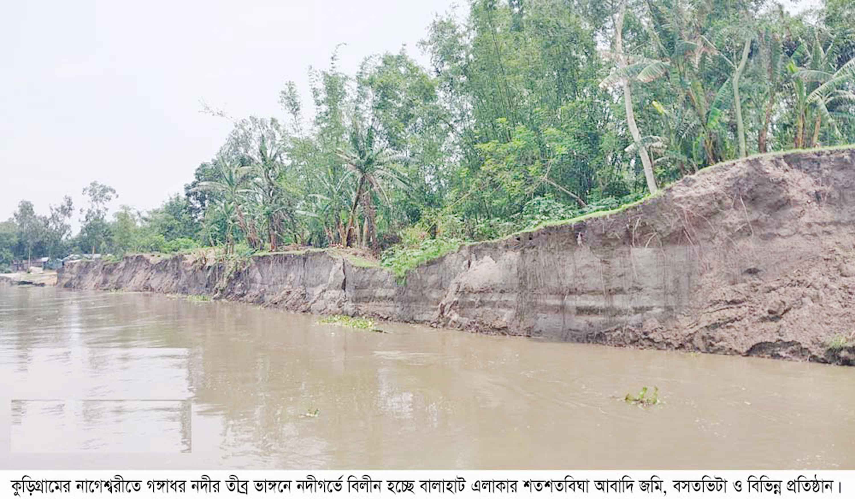 নাগেশ্বরীতে বন্যার আগেই গঙ্গাধর নদীর তীব্র ভাঙন