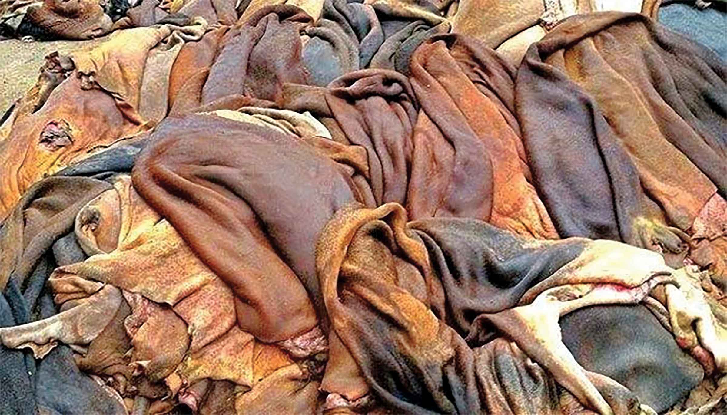 চামড়া পাচার রোধে কড়াকড়ি