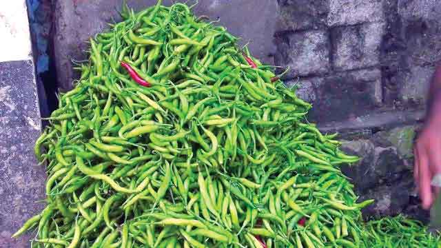 ঈদের আগে কাঁচা মরিচের ডাবল সেঞ্চুরি
