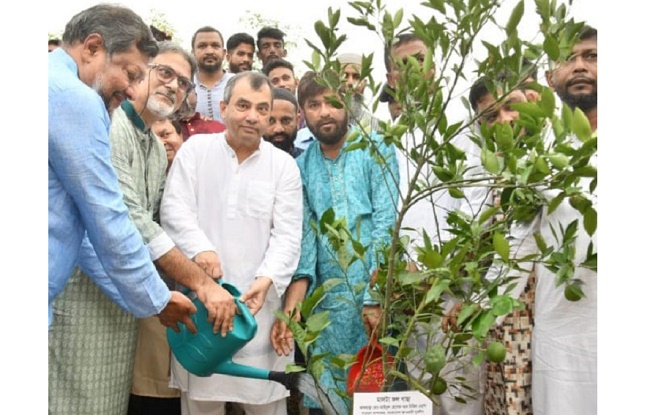 দেশের অস্তিত্ব টিকিয়ে রাখতে বেশি করে গাছ লাগাতে হবে : পরিবেশমন্ত্রী 
