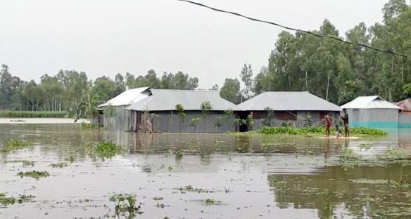 তিস্তায় পানি বেড়ে চর-নিম্নাঞ্চল প্লাবিত