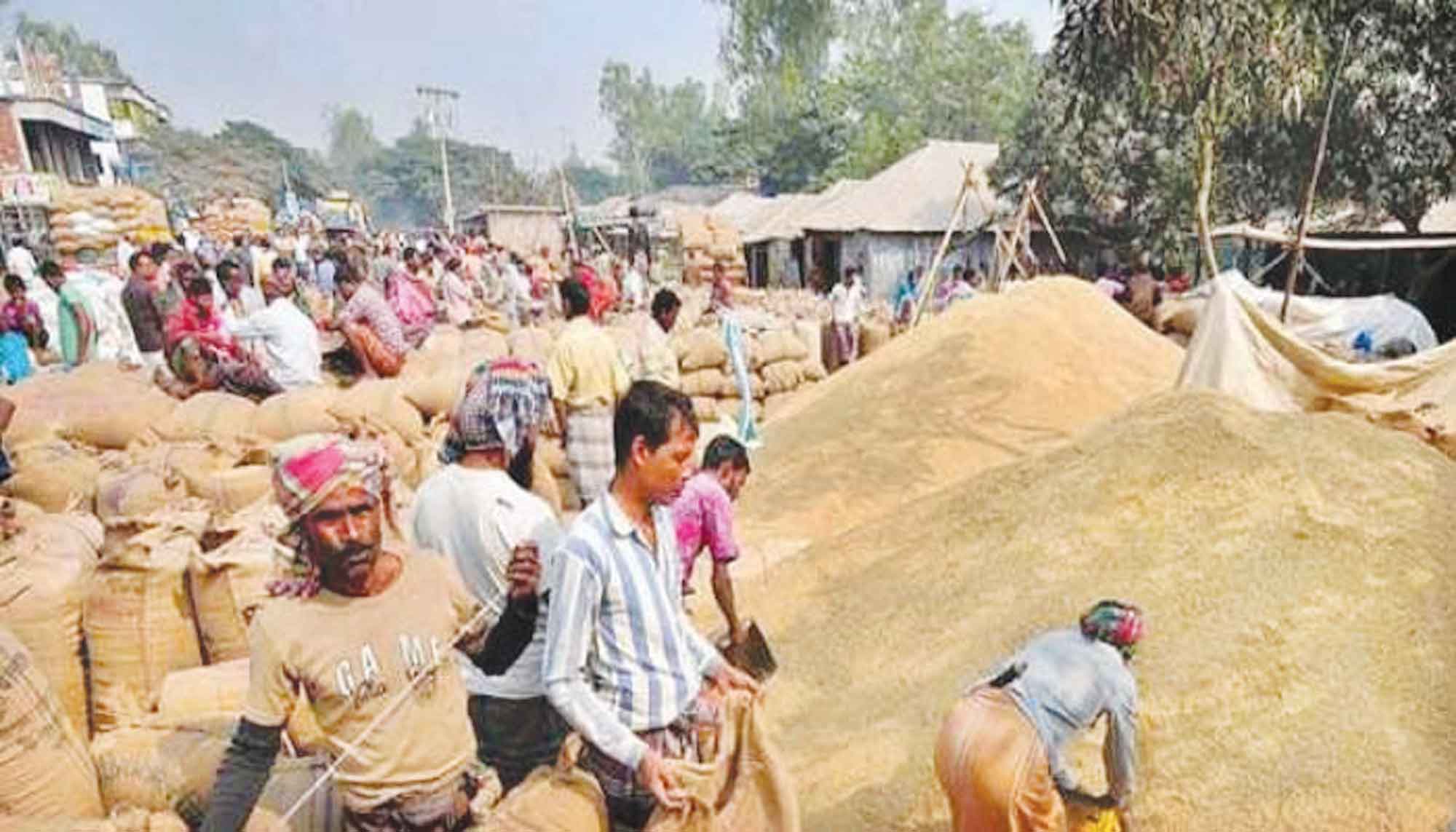 পানির দুষ্প্রাপ্যতায় বাড়ছে কৃষকের সেচ খরচ
