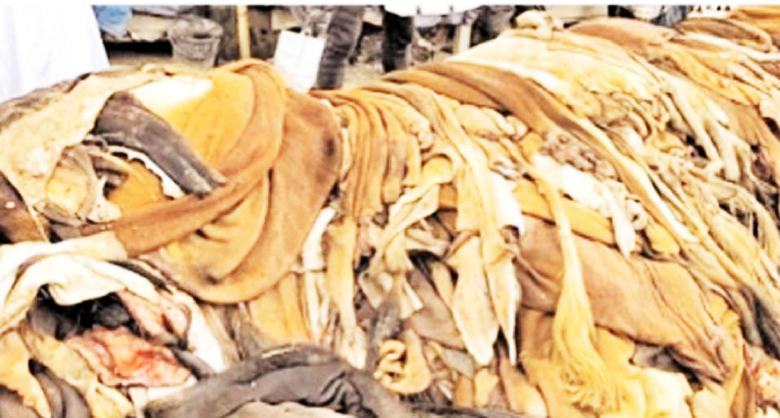 সিন্ডিকেটের কারণে পশুর চামড়ার দাম নিয়ে শঙ্কা
