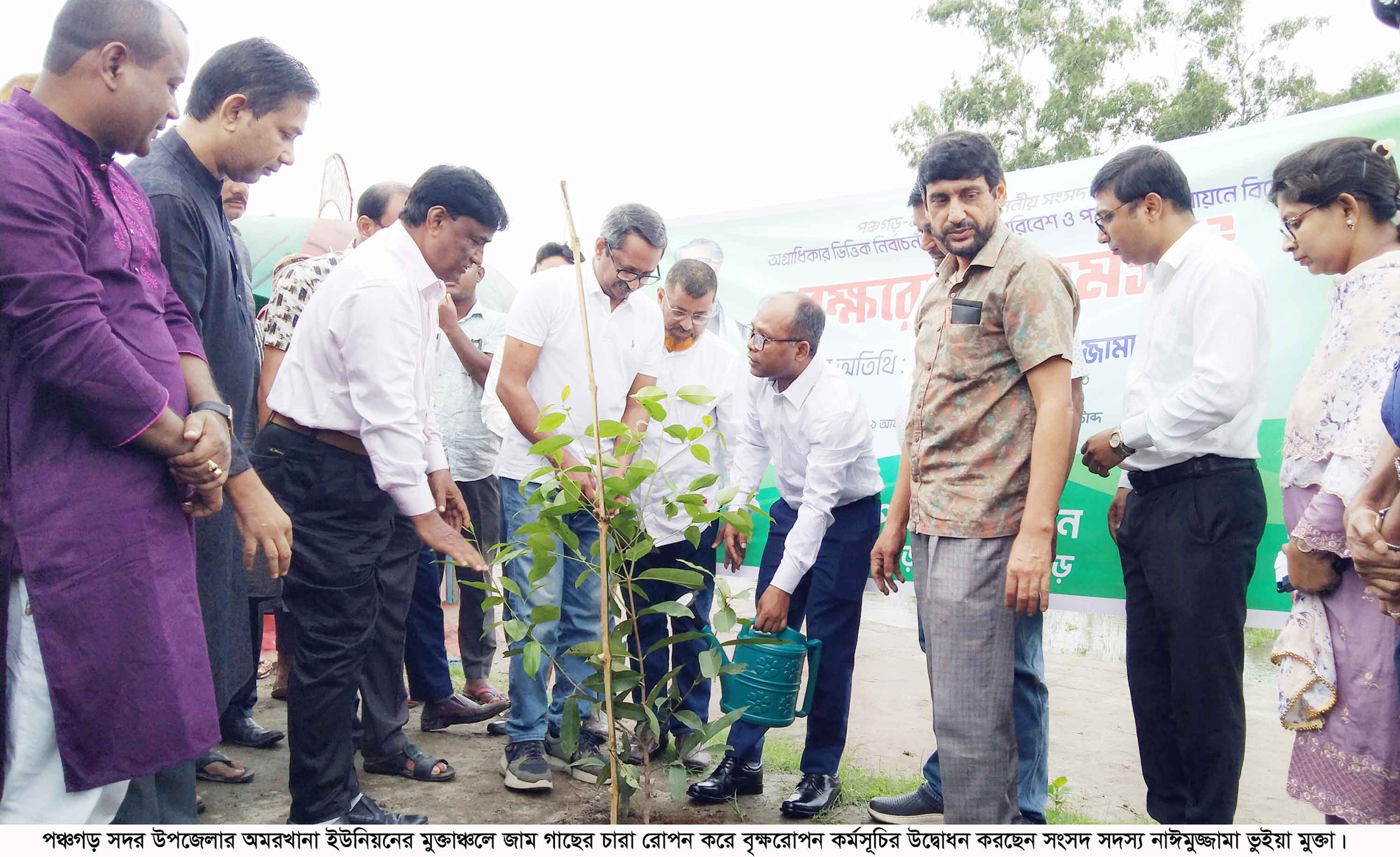 পঞ্চগড়ে সংসদ সদস্য মুক্তার উদ্যোগে লাগানো হচ্ছে ৩ লাখ চারা গাছ