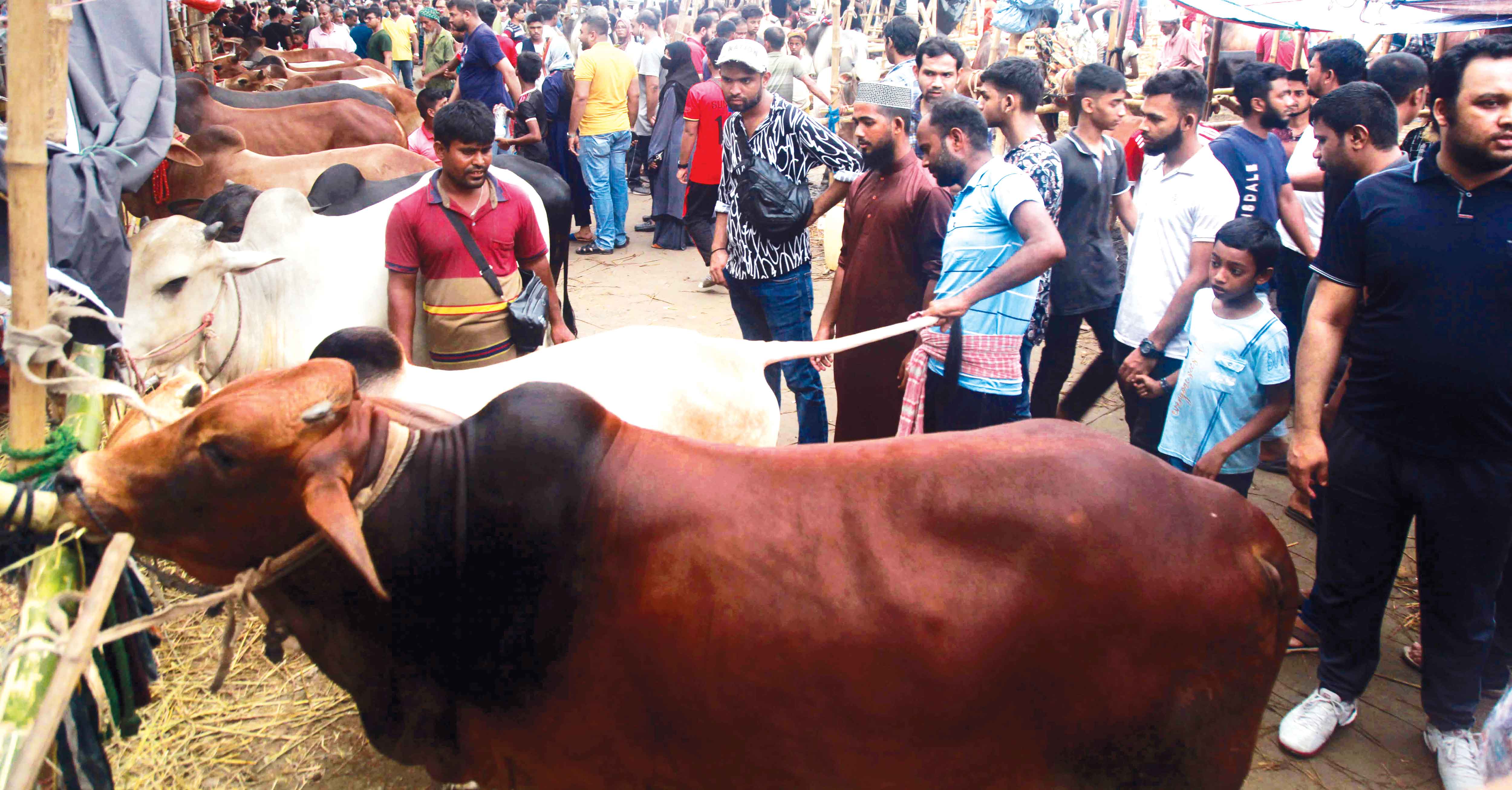 কমেছে চড়া দরের হাঁকডাক হাটে বেড়েছে বেচাকেনা