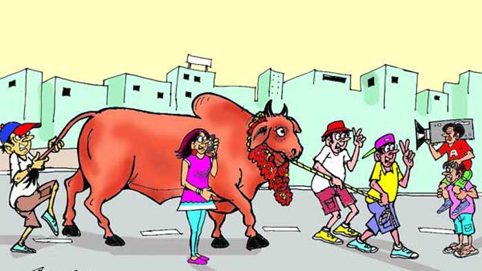রাসুলুল্লাহ (সা.) যেভাবে কুরবানির গোশত বণ্টন করতেন