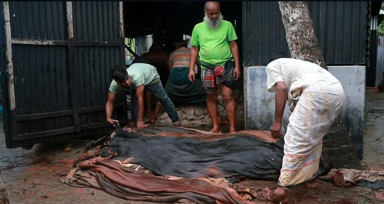 টাঙ্গাইলে চামড়া আছে ক্রেতা নেই