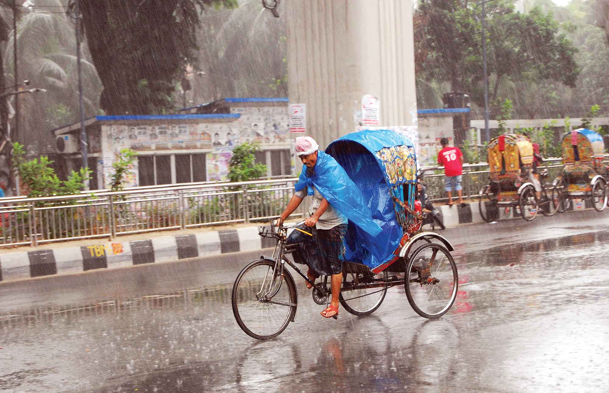 বৃষ্টির পানিতে আমন রোপণে ব্যস্ত কৃষক