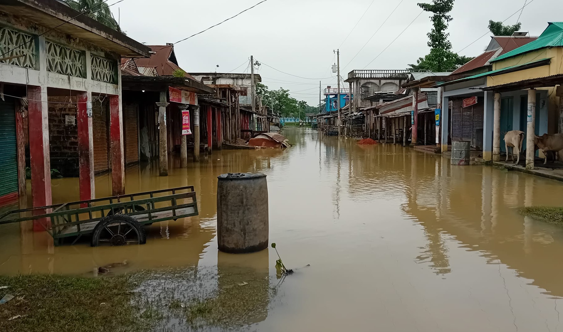 জগন্নাথপুরে ভয়াবহ বন্যা, বিপর্যস্ত জনজীবন
