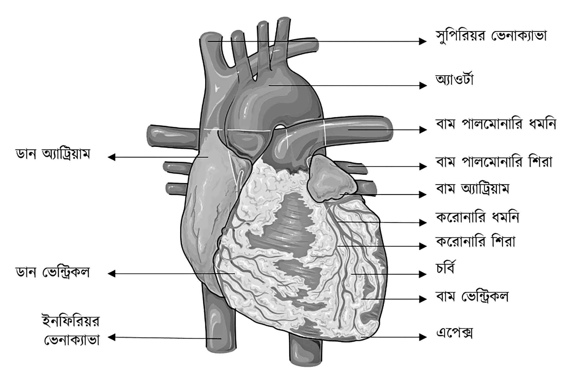 জানার আছে অনেক কিছু