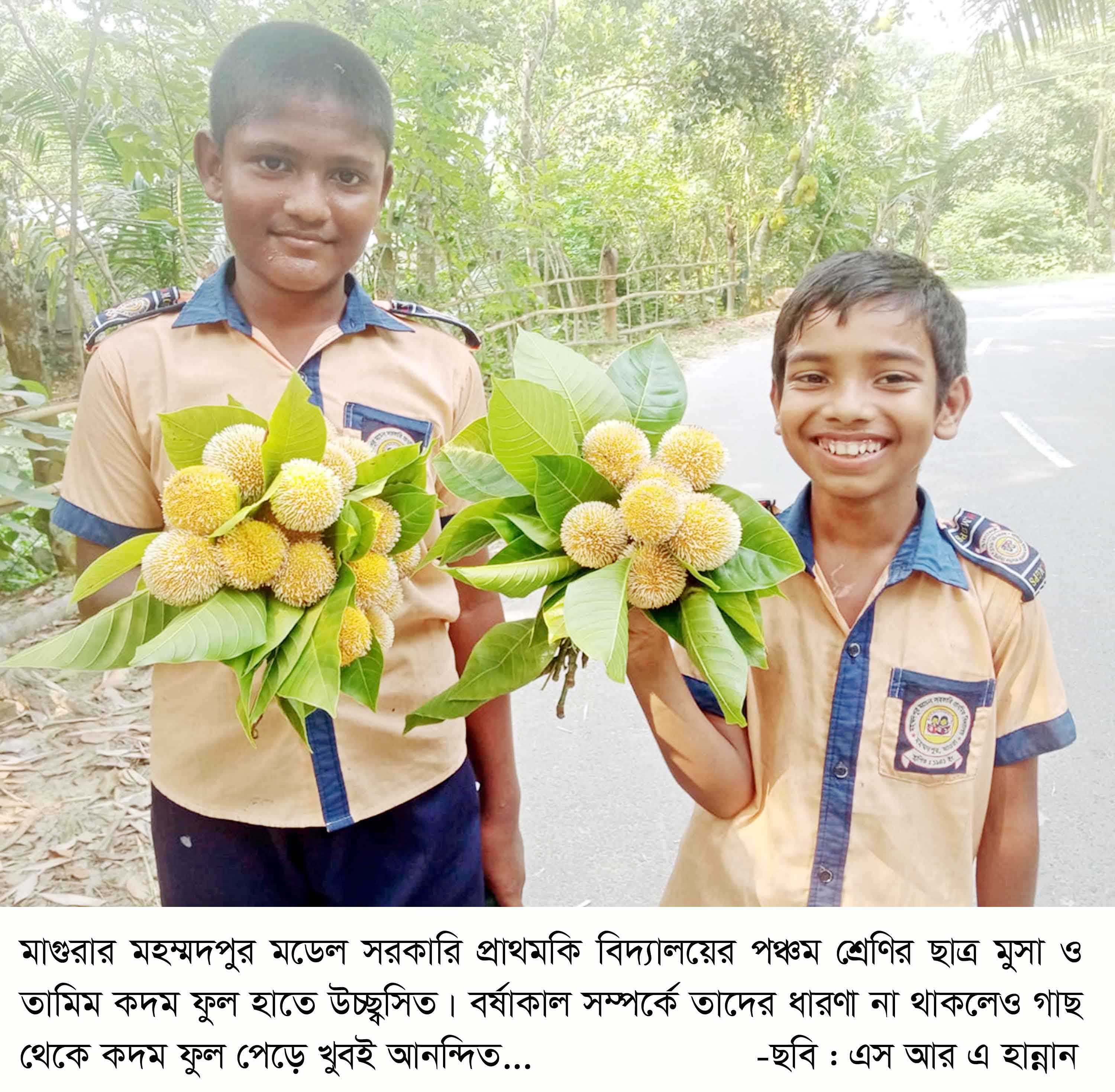 বর্ষার স্মারক 'কদম' ফুল