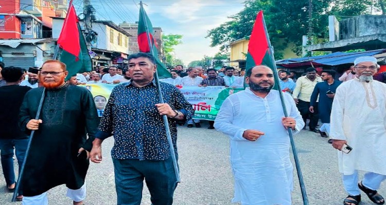 বোরহানউদ্দিনে আ‘লীগের প্লাটিনাম জয়ন্তী পালিত