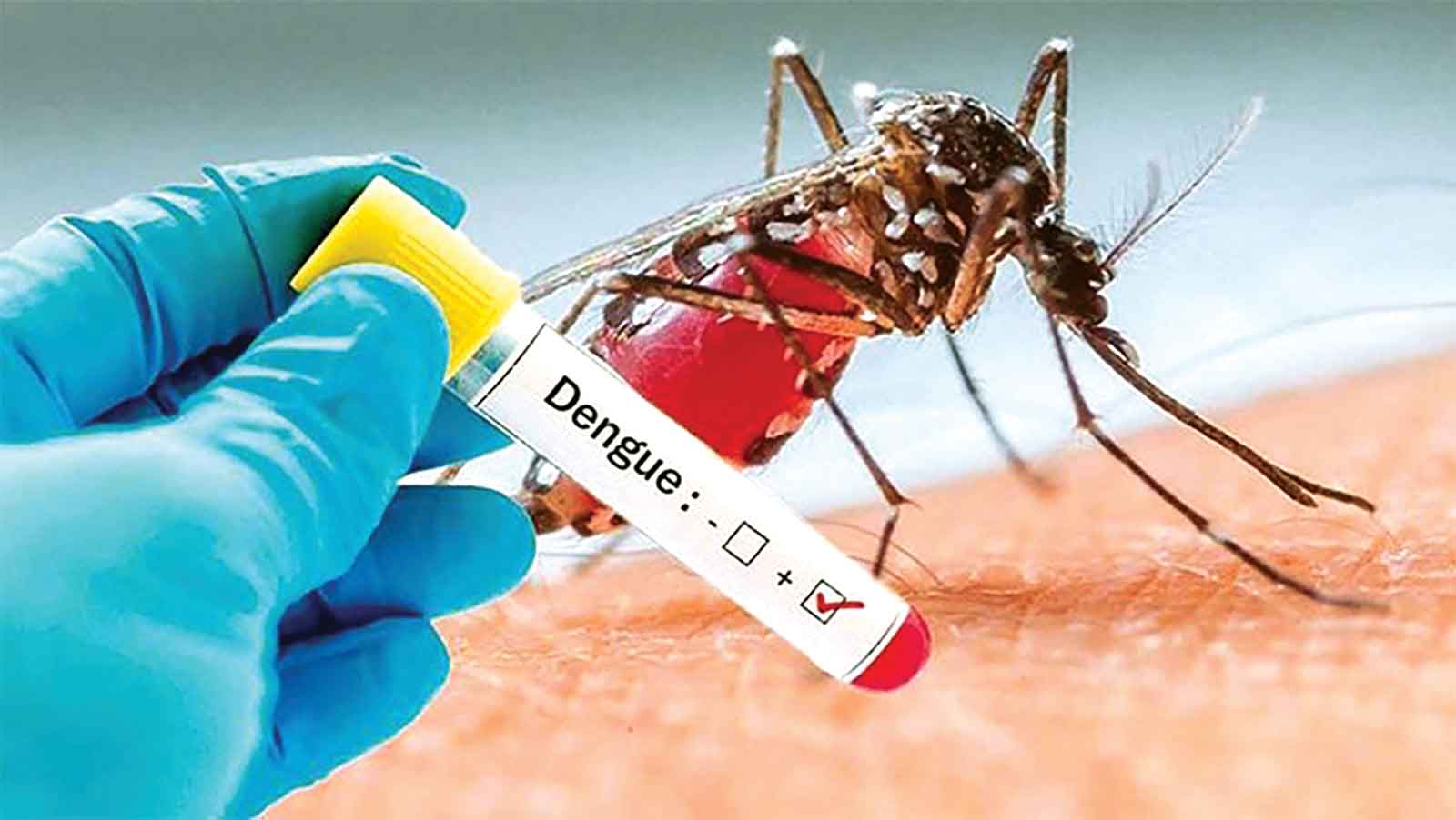 দেশে ডেঙ্গু নিয়ন্ত্রণ তিন কারণে কঠিন
