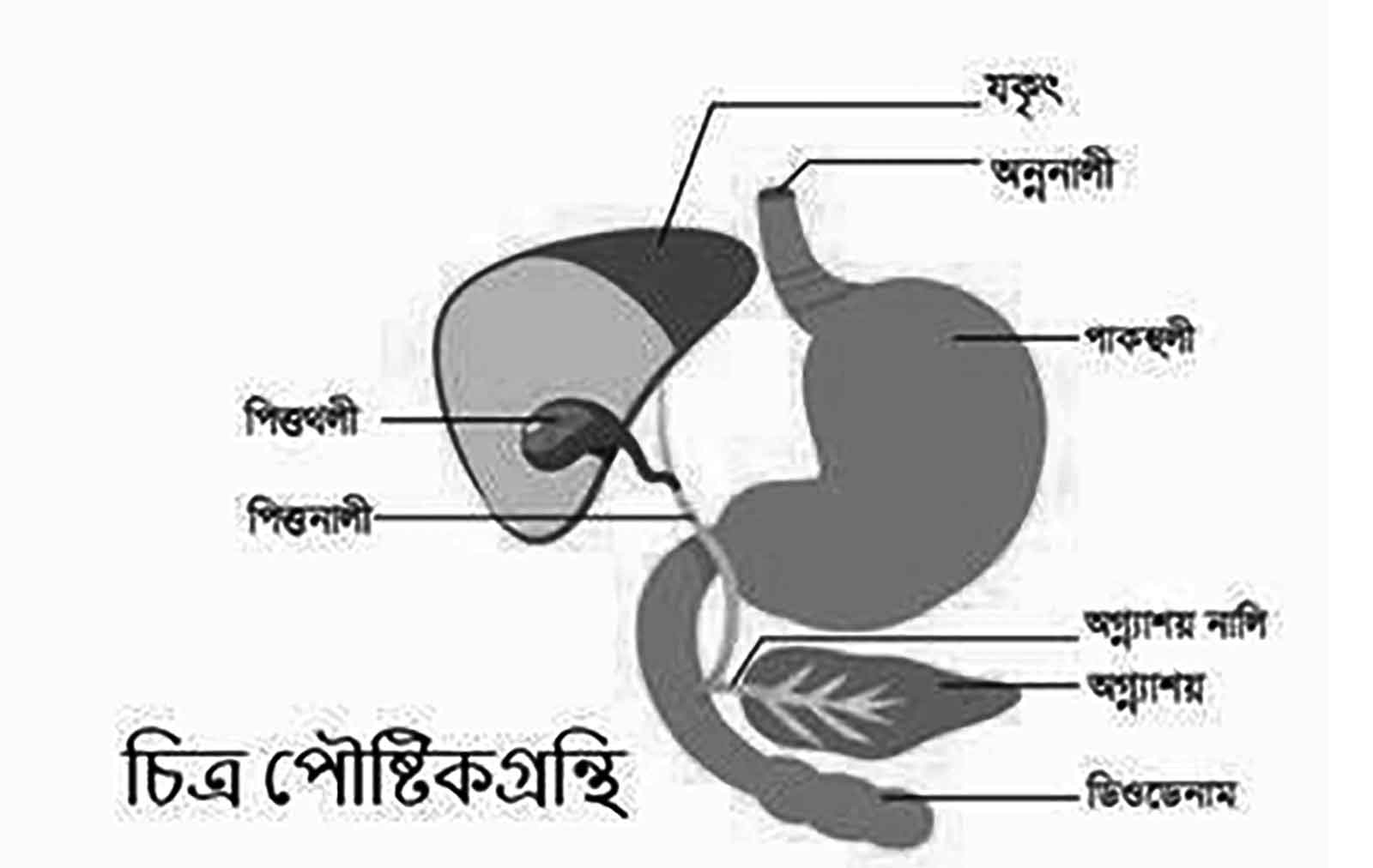 জানার আছে অনেক কিছু