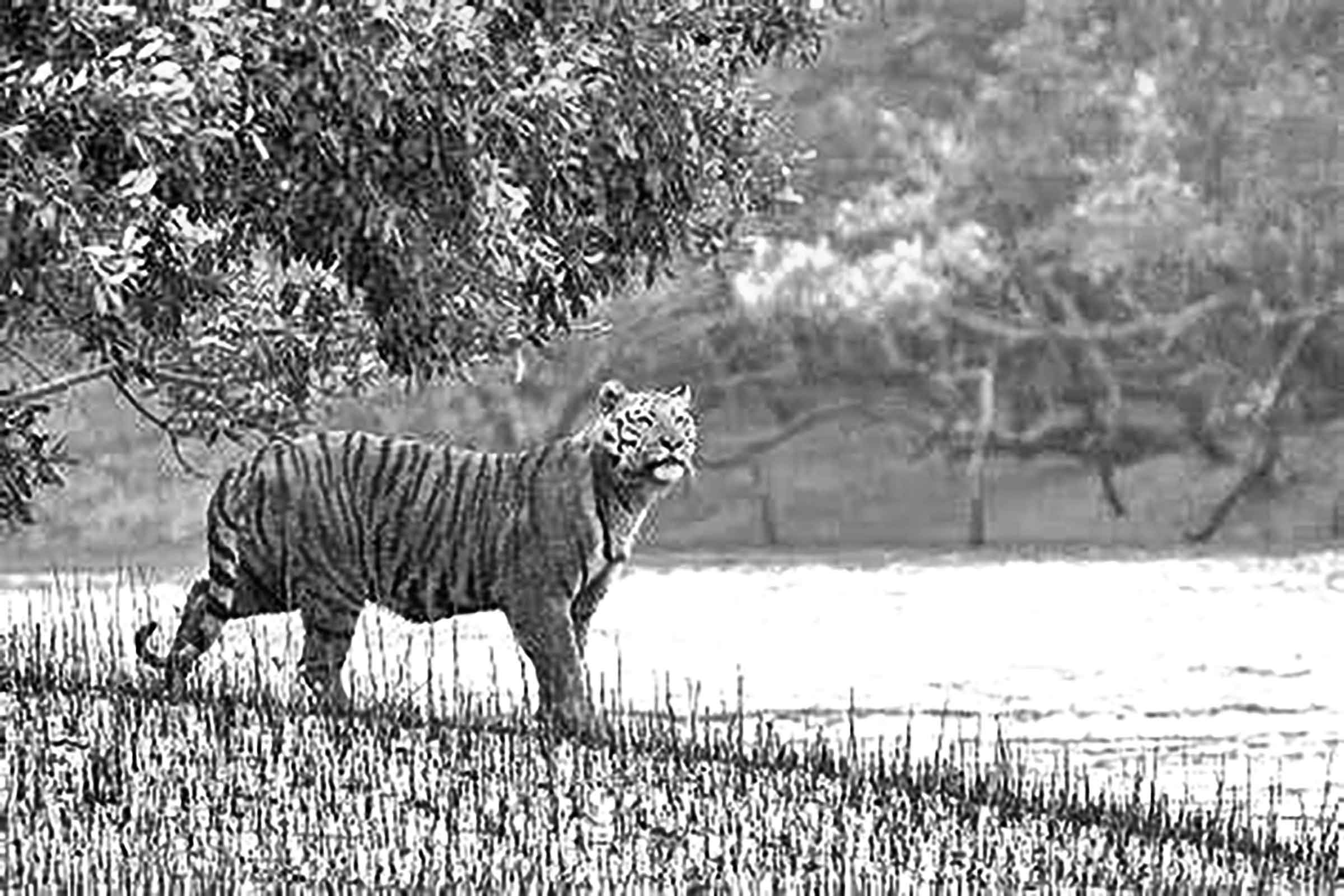 দশম শ্রেণির অর্থনীতি