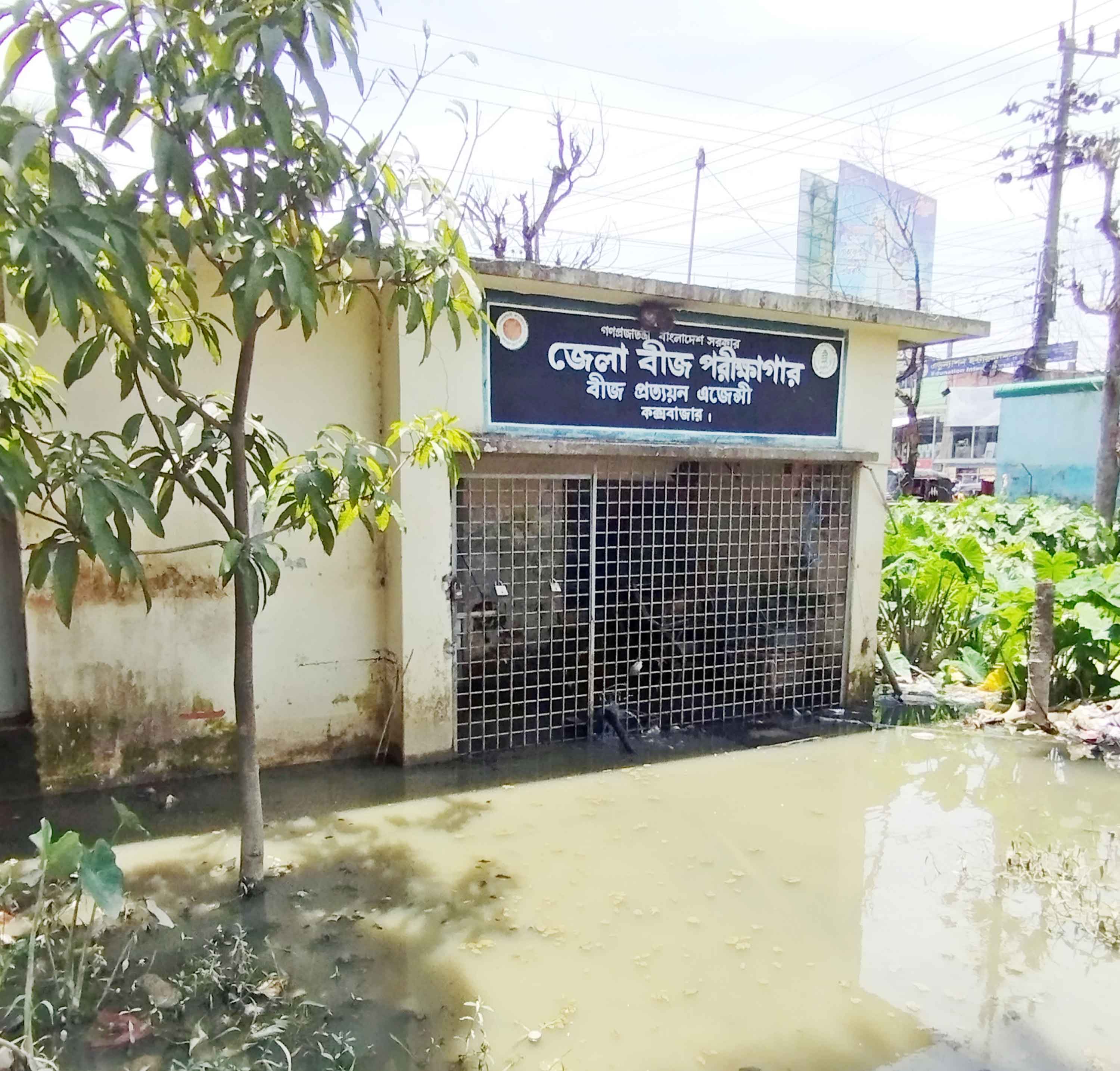 থেকেও যেন নেই কক্সবাজার জেলা বীজ পরীক্ষাগার!