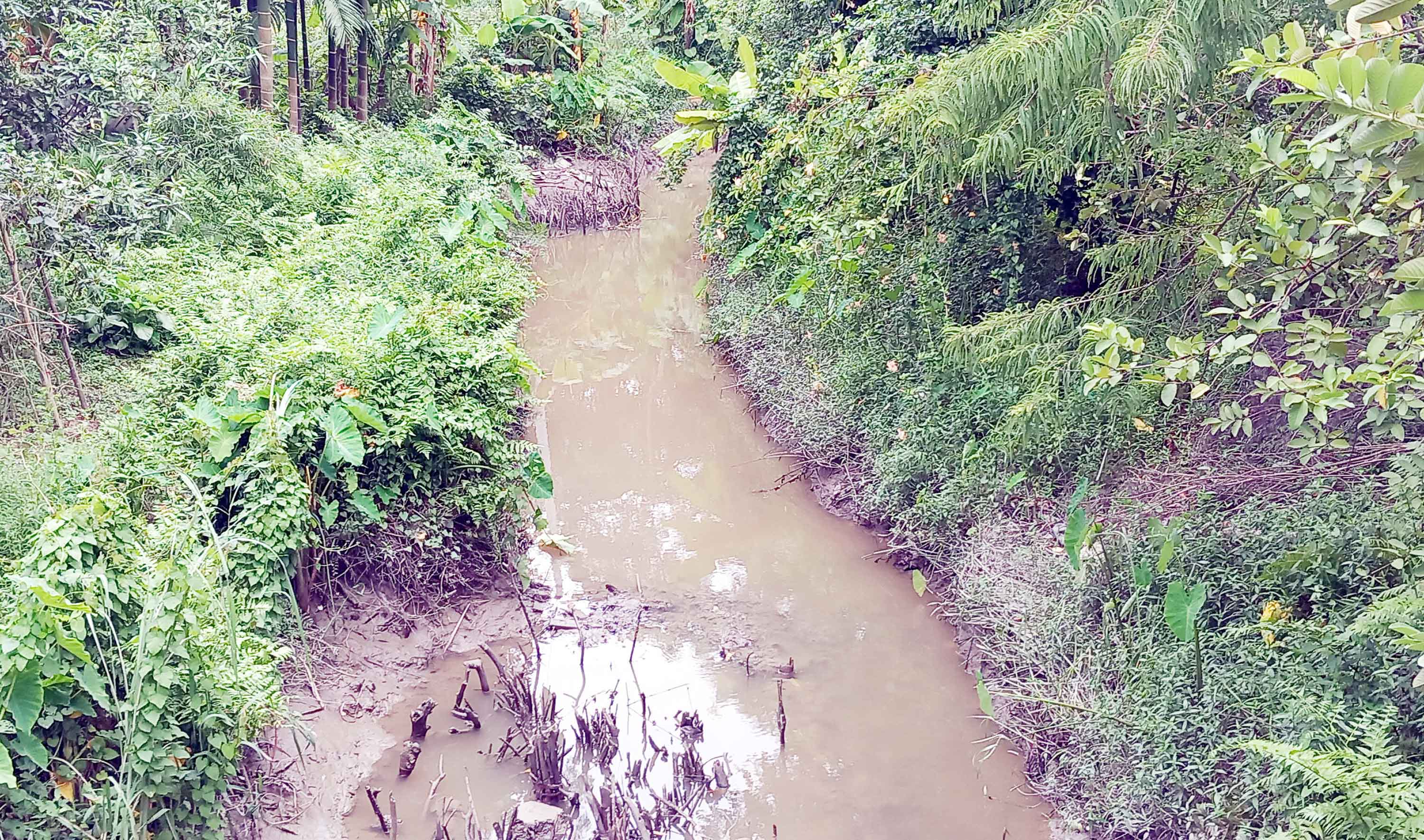 পর্যাপ্ত বৃষ্টি না হওয়ায় রাউজানের খালে নেই পানি, চাষ ব্যাহত