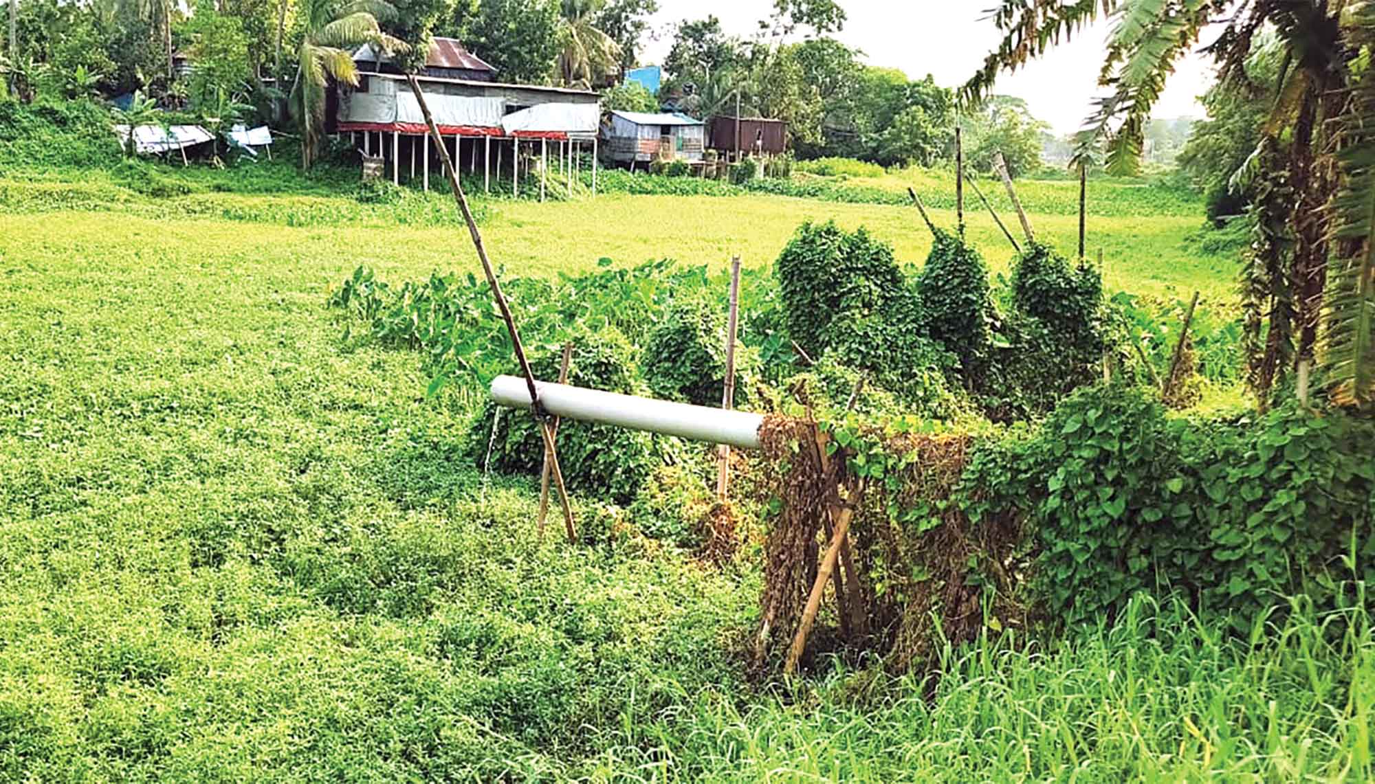চুনকুটিয়া, জাজিরা ও শিং খাল খননে হরিলুটের অভিযোগ