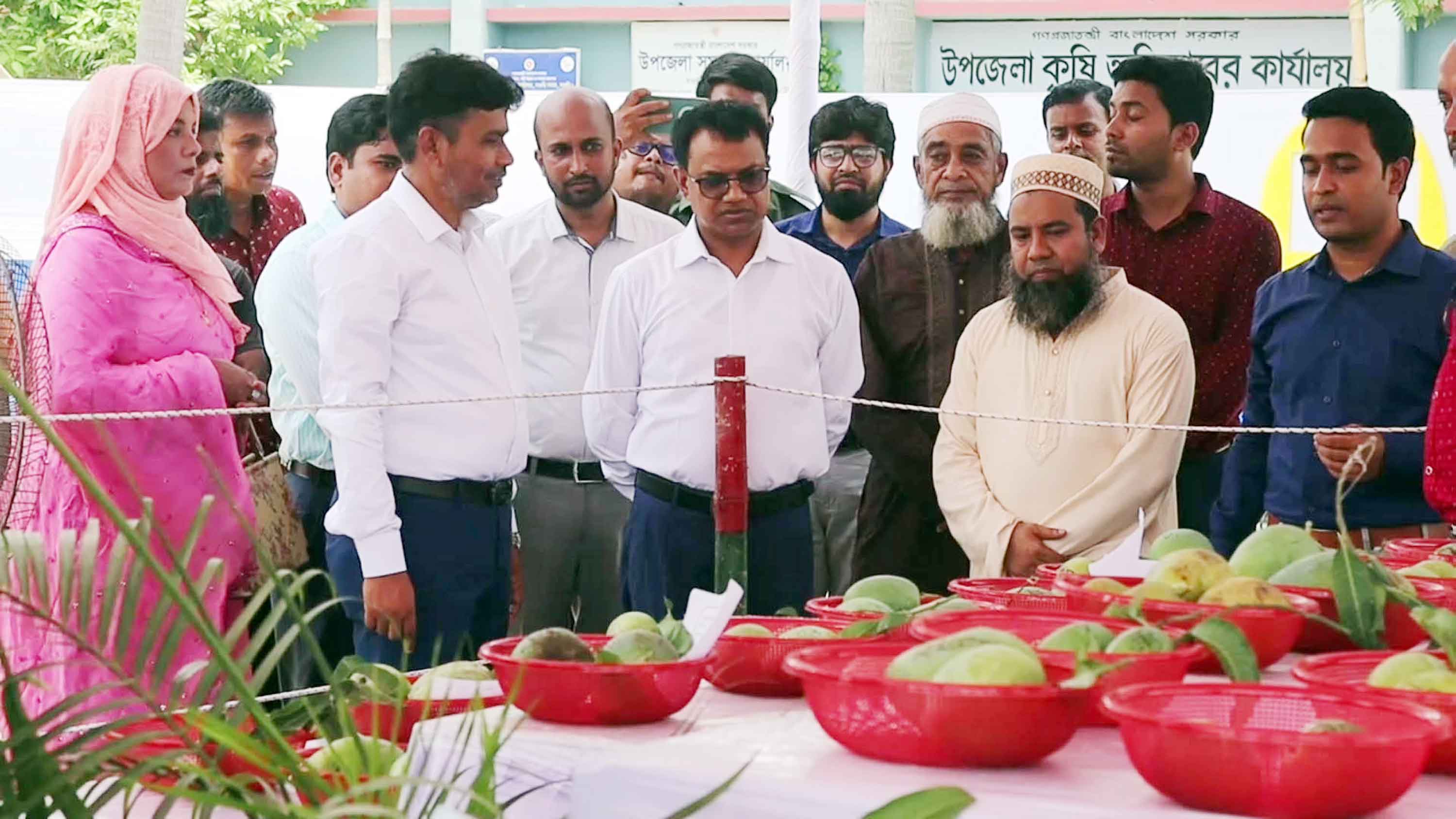 নওগাঁয় ৩ দিনব্যাপী আম মেলা শুরু