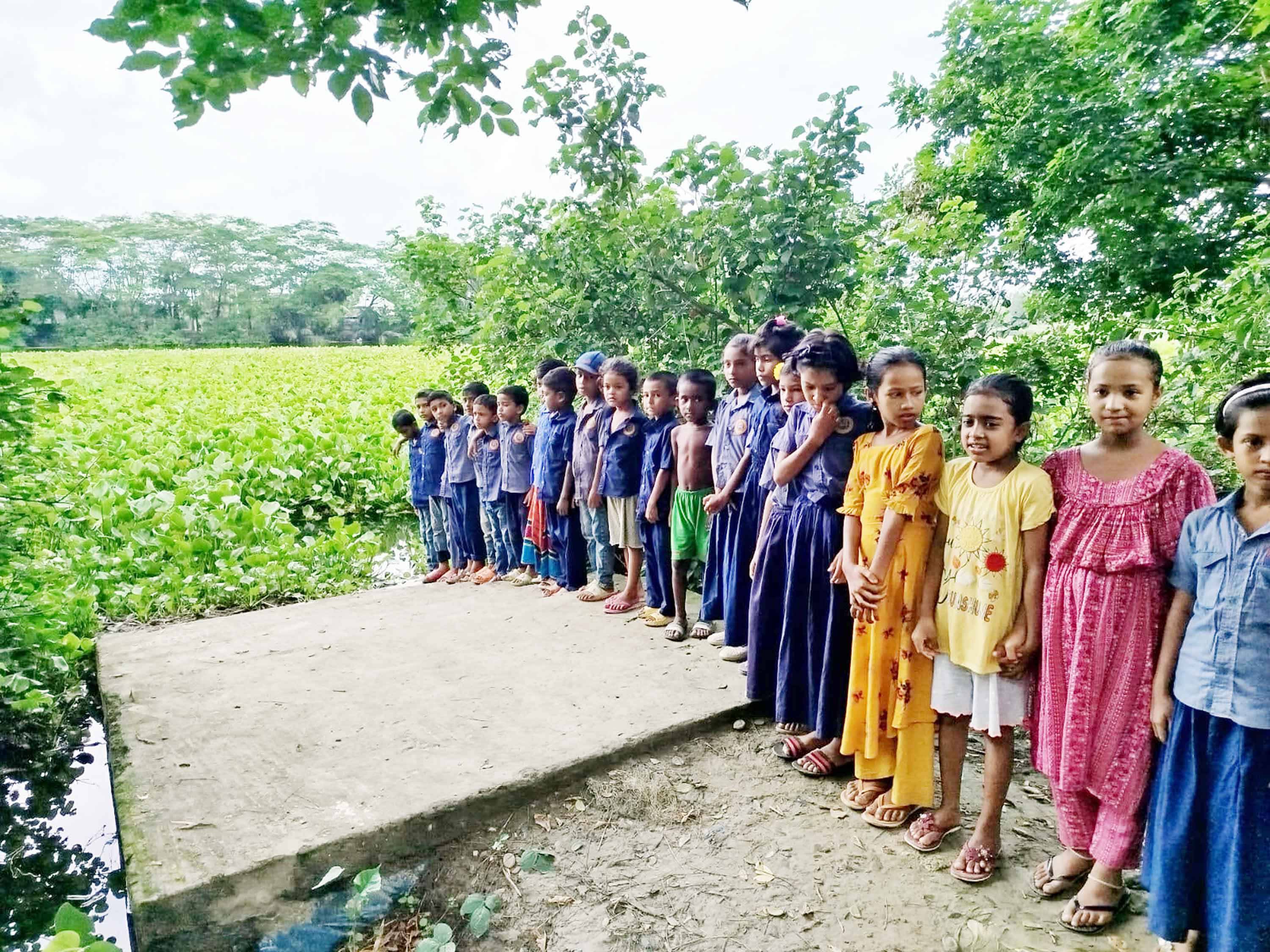 তালতলীতে কচুরিপানায় দেড় মাস ধরে খেয়া চলাচল বন্ধ