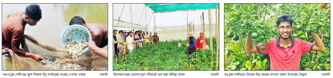পোনা উৎপাদন, পলিনেট হাউজ ও মিশ্র ফলের বাগানে কৃষকের সফলতা