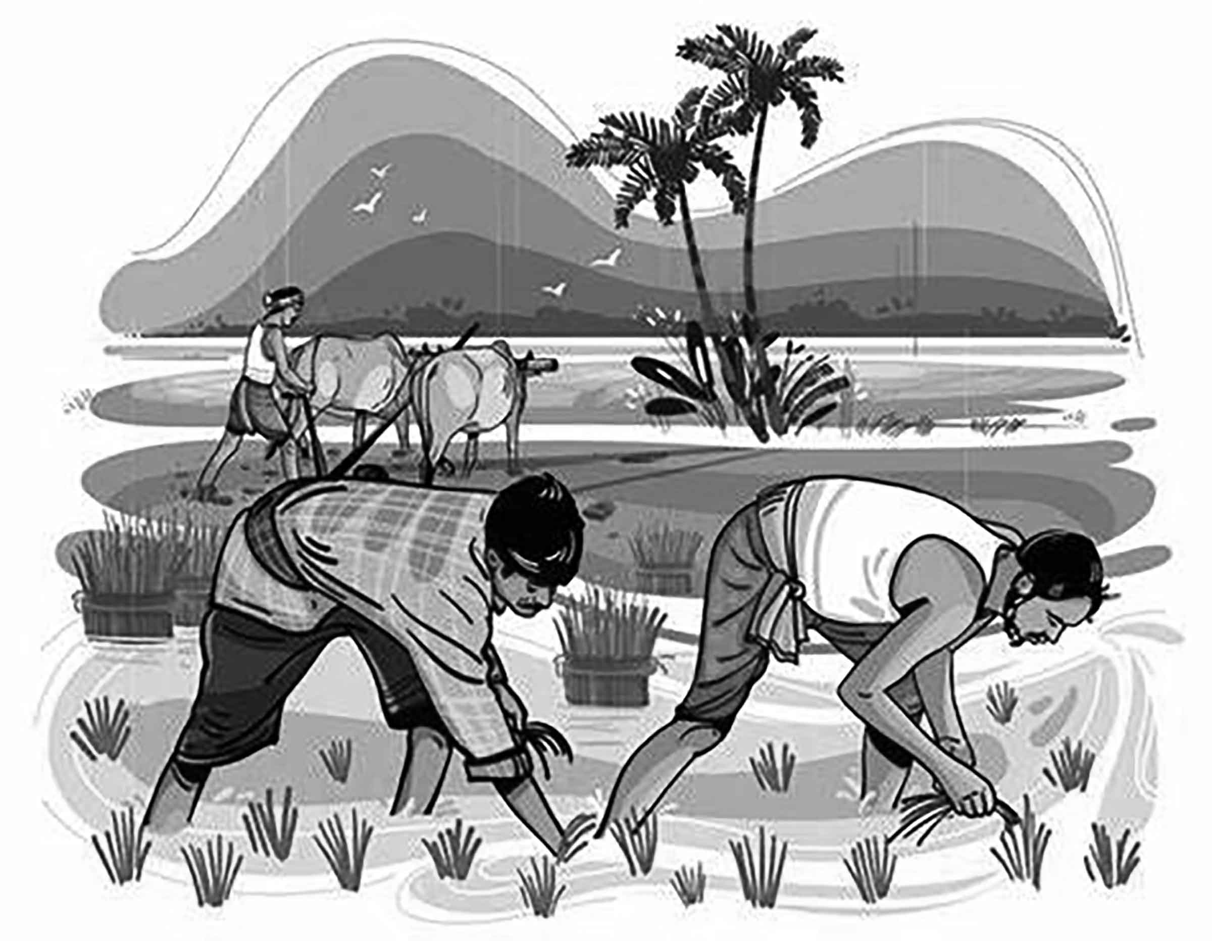 দশম শ্রেণির অর্থনীতি