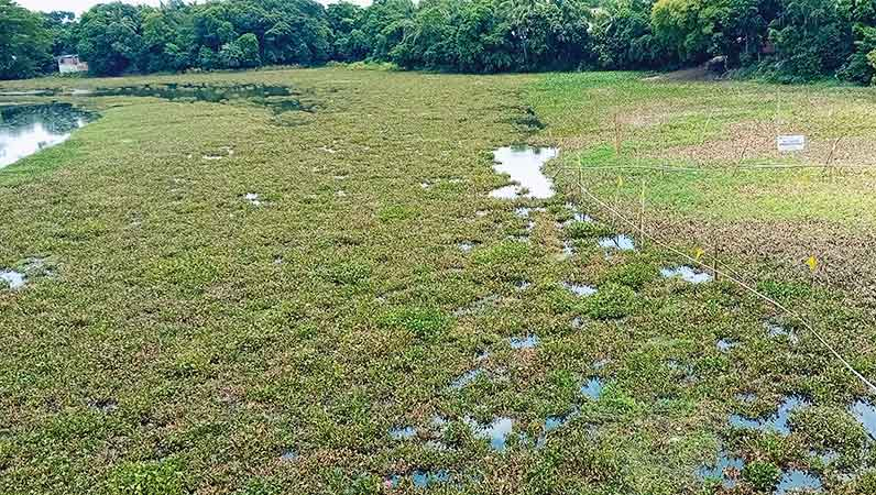 দক্ষিণ-পশ্চিমের মিঠাপানির উৎসে লবণাক্ততার ছোবল 