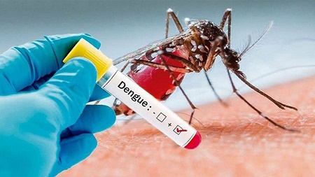 ডেঙ্গু মোকাবিলায় দায়সারা প্রস্তুতি