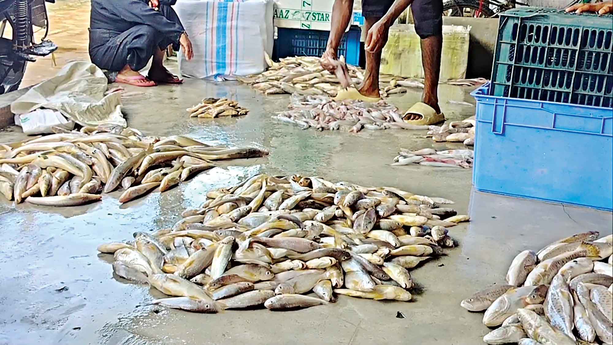 প্রকাশ্যে মাছ শিকার ও বিকিকিনি নিয়ে কোটি টাকার বাণিজ্য!