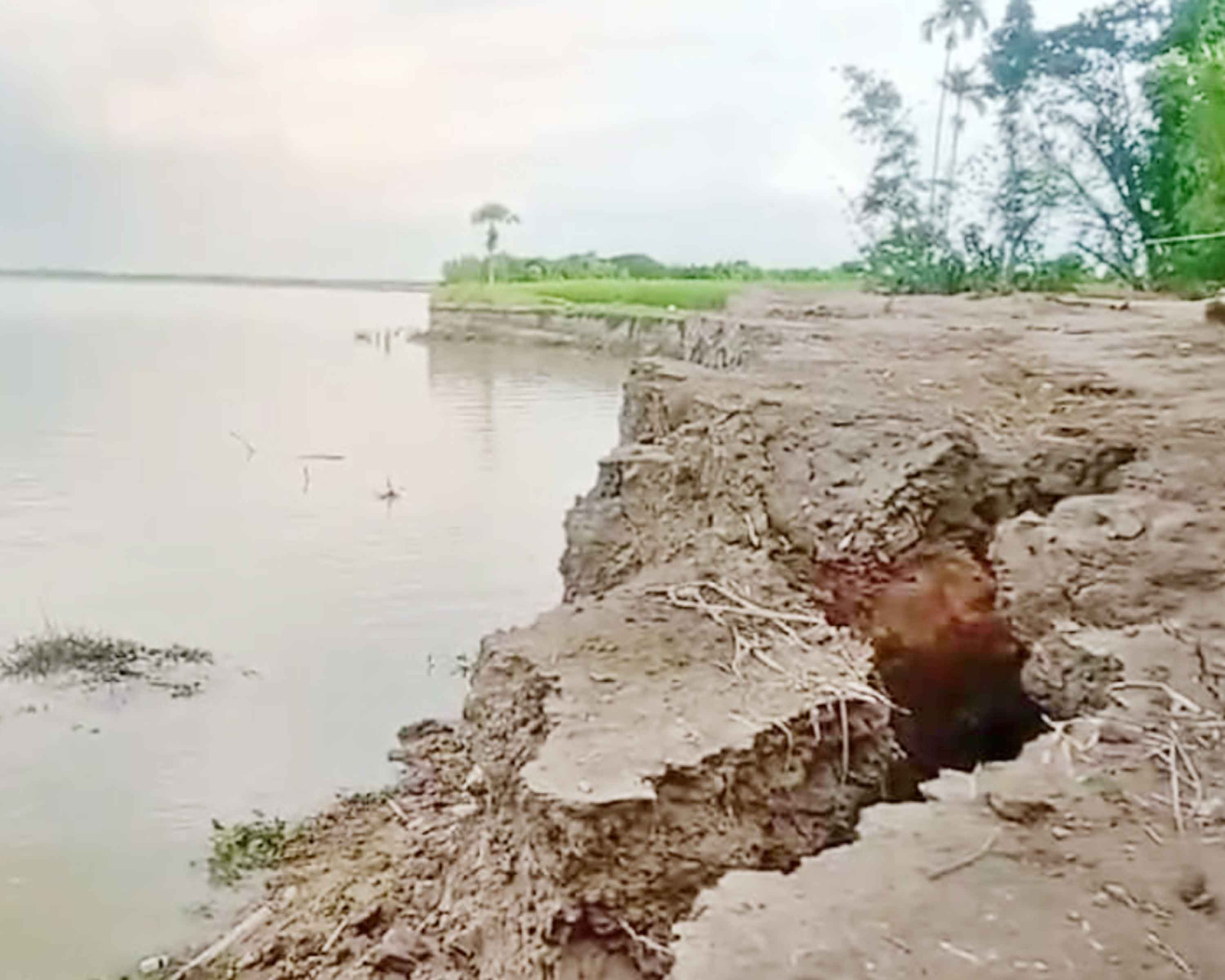 মধুমতী নদীর ভাঙনে নিঃস্ব শতাধিক পরিবার