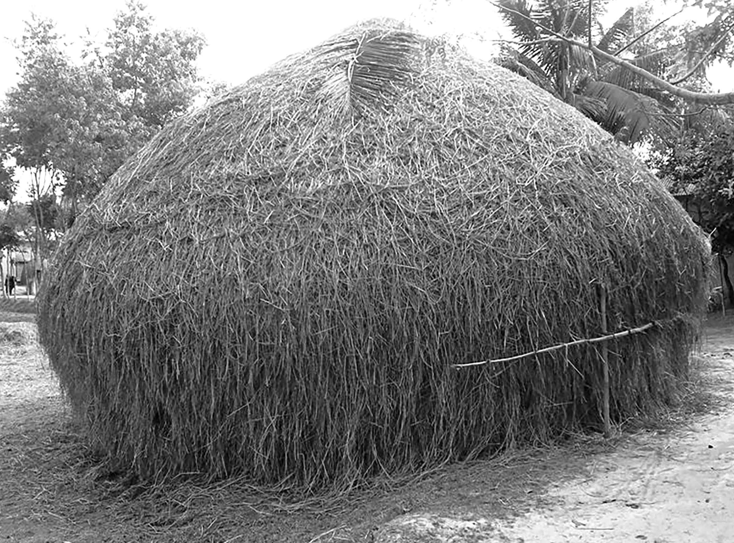 একাদশ শ্রেণির বাংলা প্রথমপত্র
