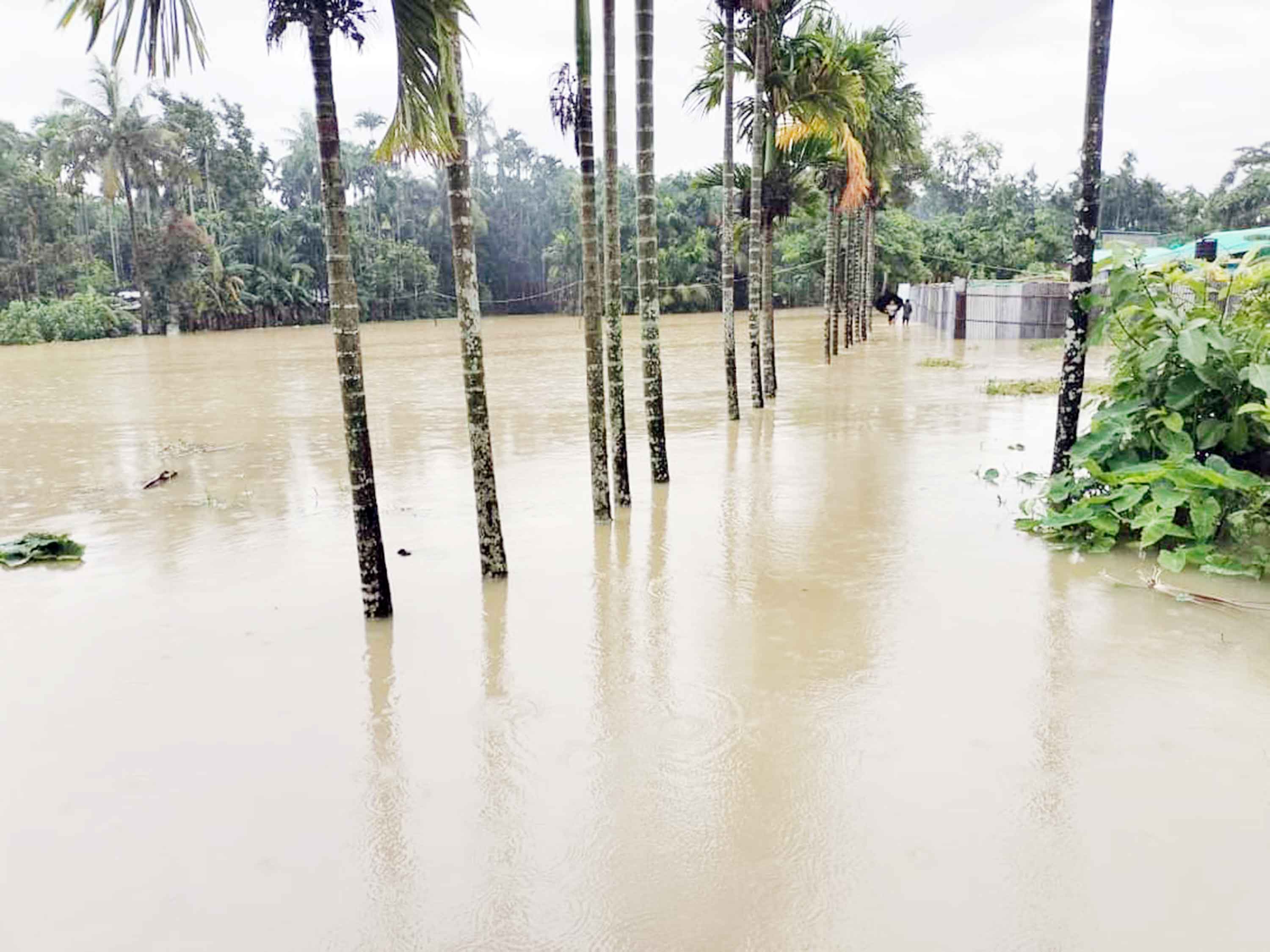 ভারী বৃষ্টি ও পাহাড়ি ঢলে পানিবন্দি সহস্রাধিক পরিবার