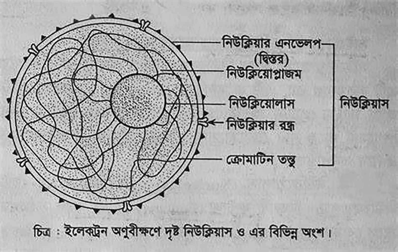 জানার আছে অনেক কিছু