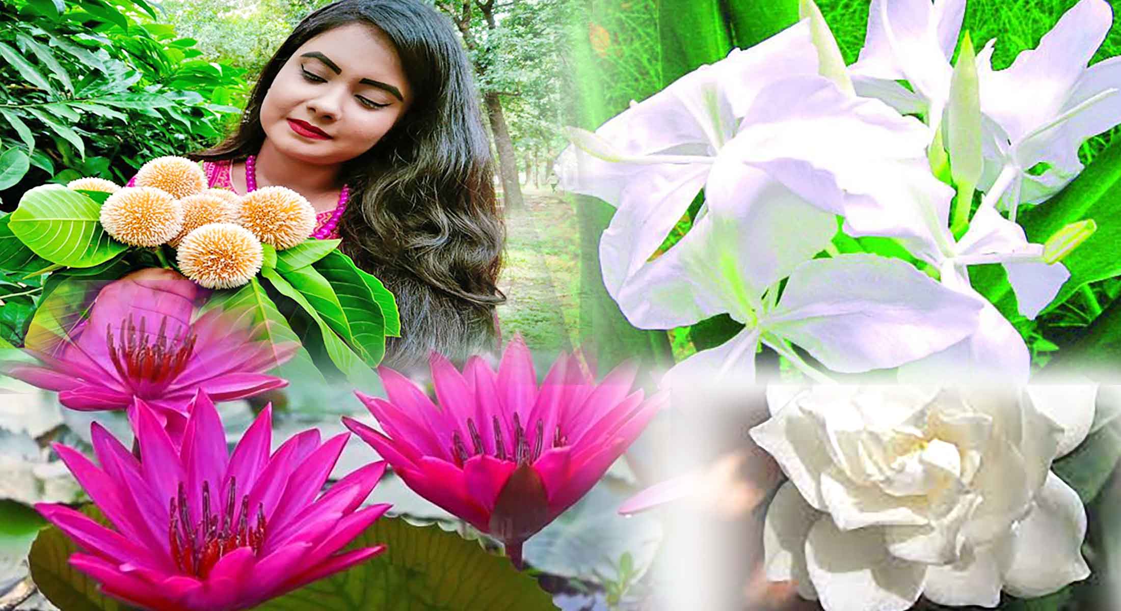 বর্ষার ফুল