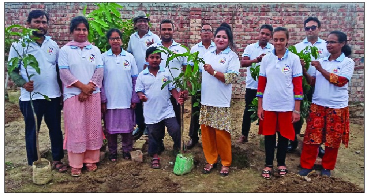 সাভারে গাছের চারা রোপণ
