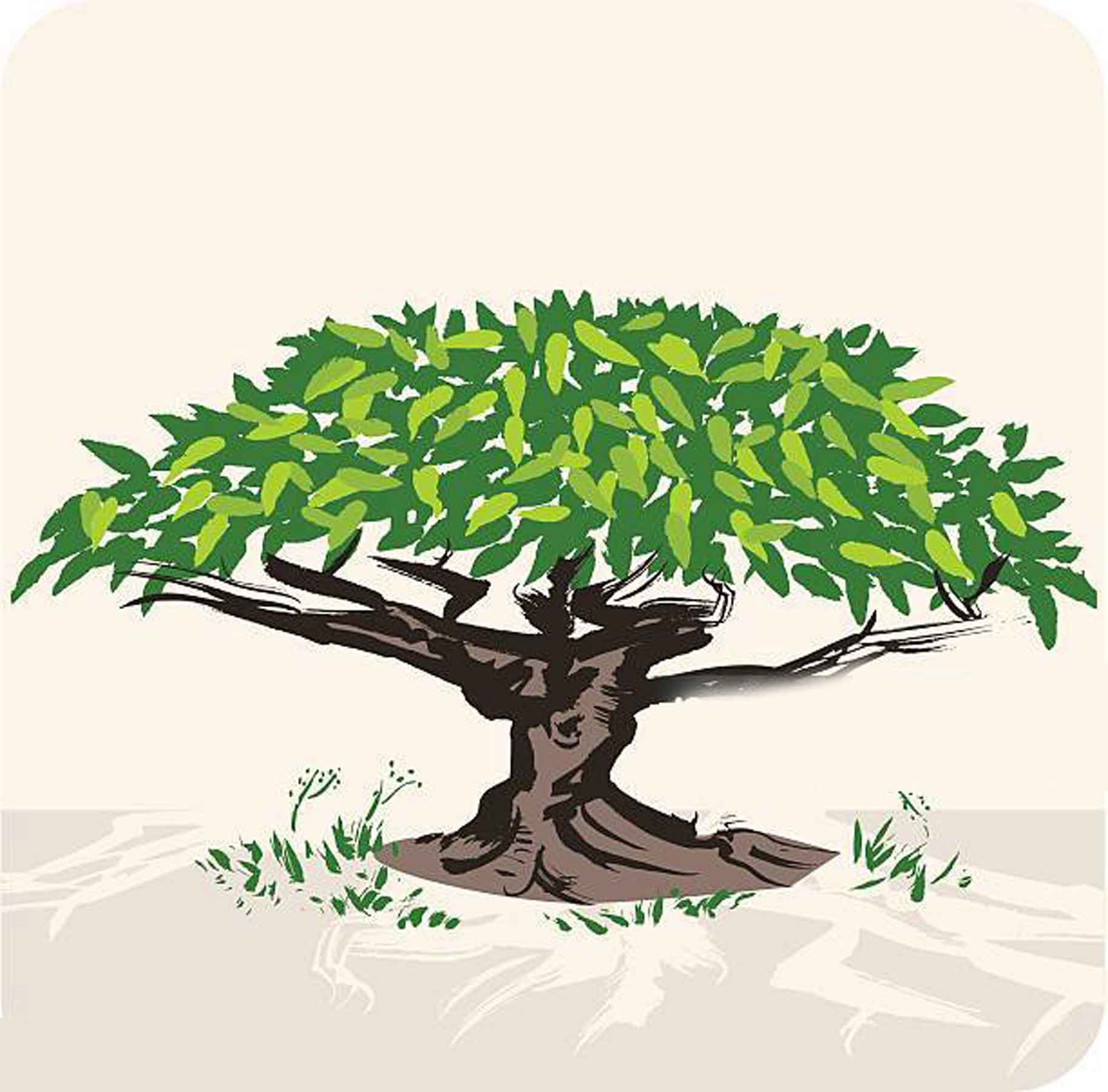 গাঁয়ের বুড়ি
