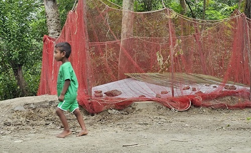 কবরের মাটি খুঁড়ে মাকে বের করার চেষ্টা আড়াই বছরের সাইমুনের