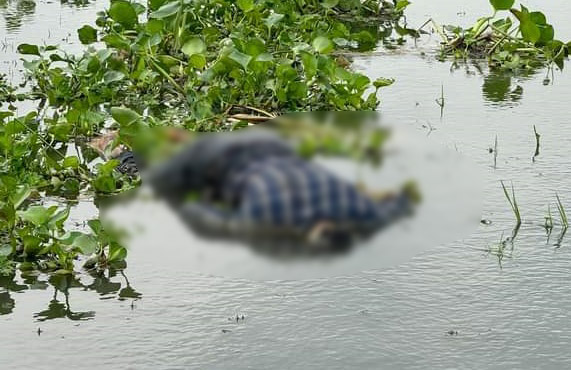 পোরশার নিতপুর সীমান্তে ভাসমান অজ্ঞাত ব্যক্তির লাশ উদ্ধার