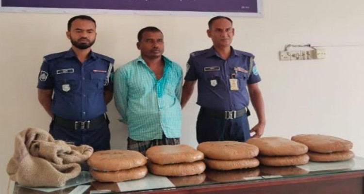 ধনবাড়ীতে গাঁজা সহ মাদক ব্যবসায়ী আটক