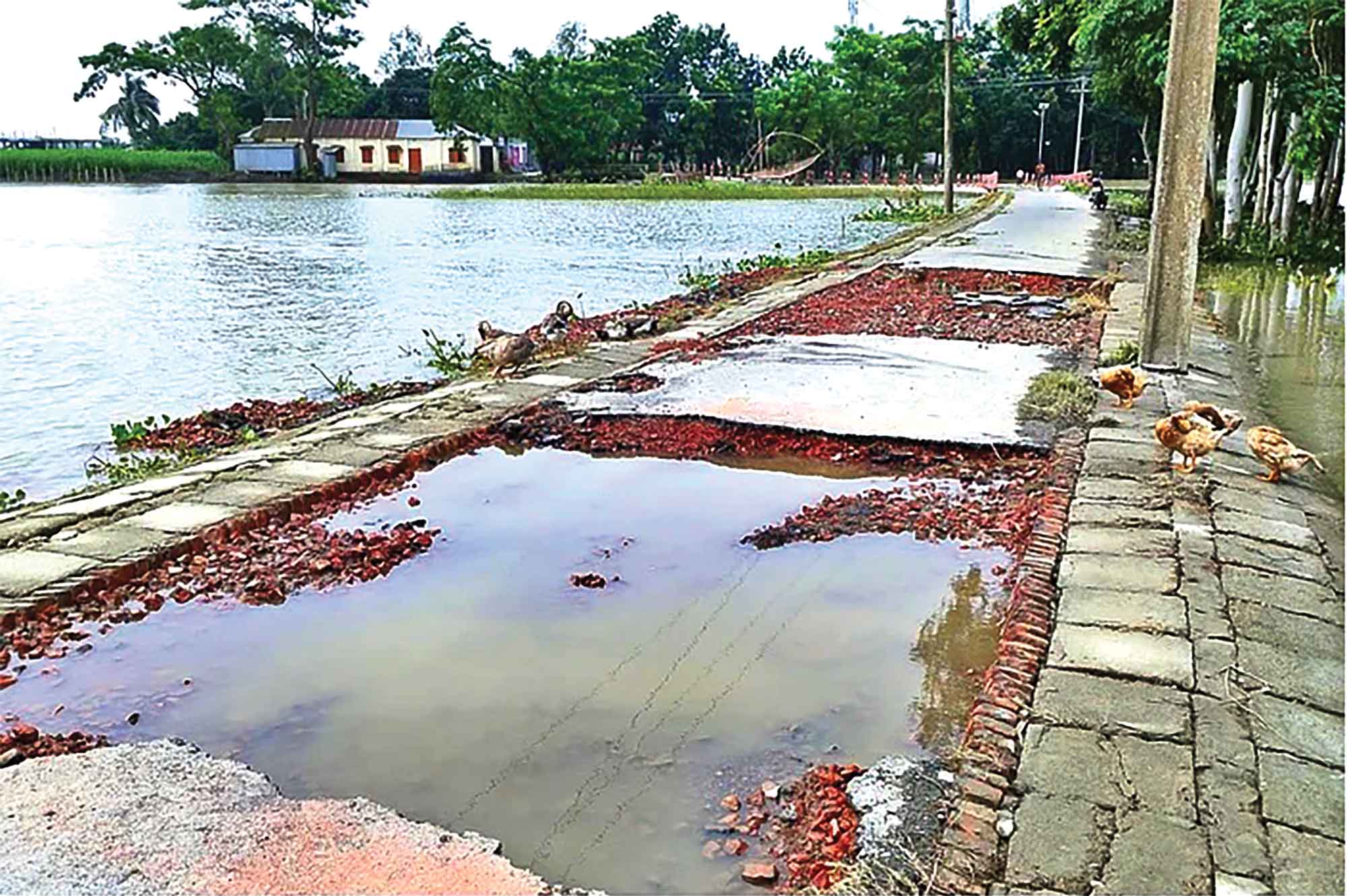 উত্তরাঞ্চলে অপরিবর্তিত উন্নতি উত্তর-পূর্বাঞ্চলেসার্বিক বন্যা পরিস্থিতি