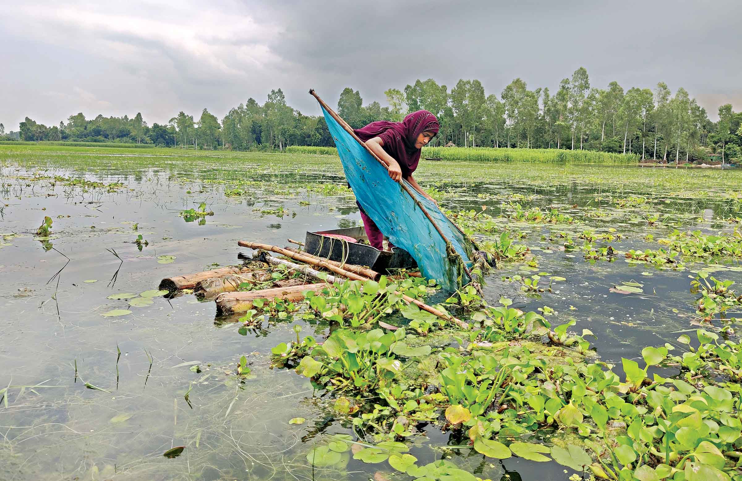 ভূমি-মাটি ছাড়াই উৎপাদন হচ্ছে স্বপ্নের ফসল