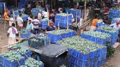 বাজারে আম আছে, ক্রেতা নেই