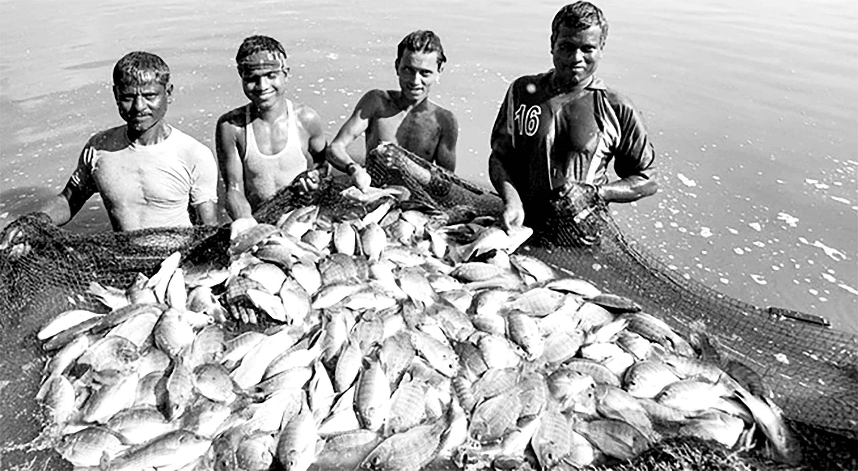 আর্থসামাজিক উন্নয়নে মৎস্য চাষের ভূমিকা