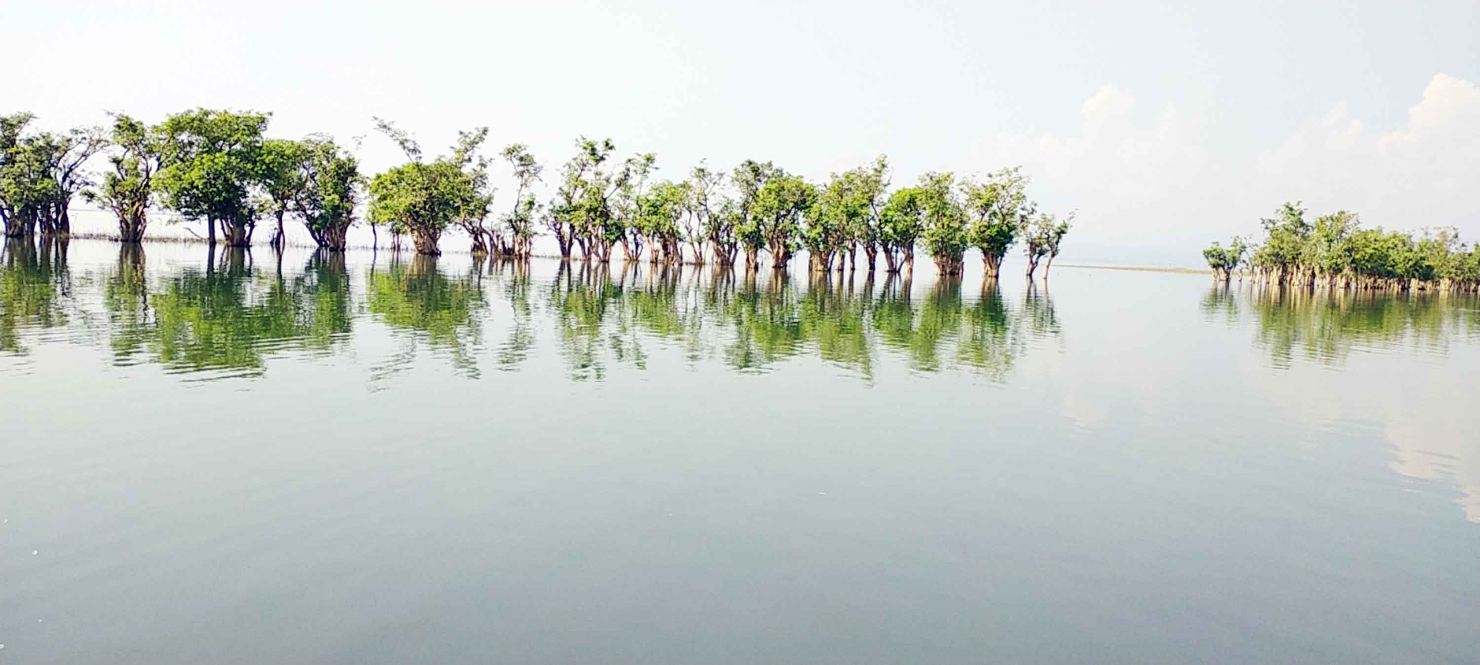 সম্ভাবনাময় 'টাঙ্গুয়ার হাওড়' বাড়ছে পর্যটকের আনাগোনা