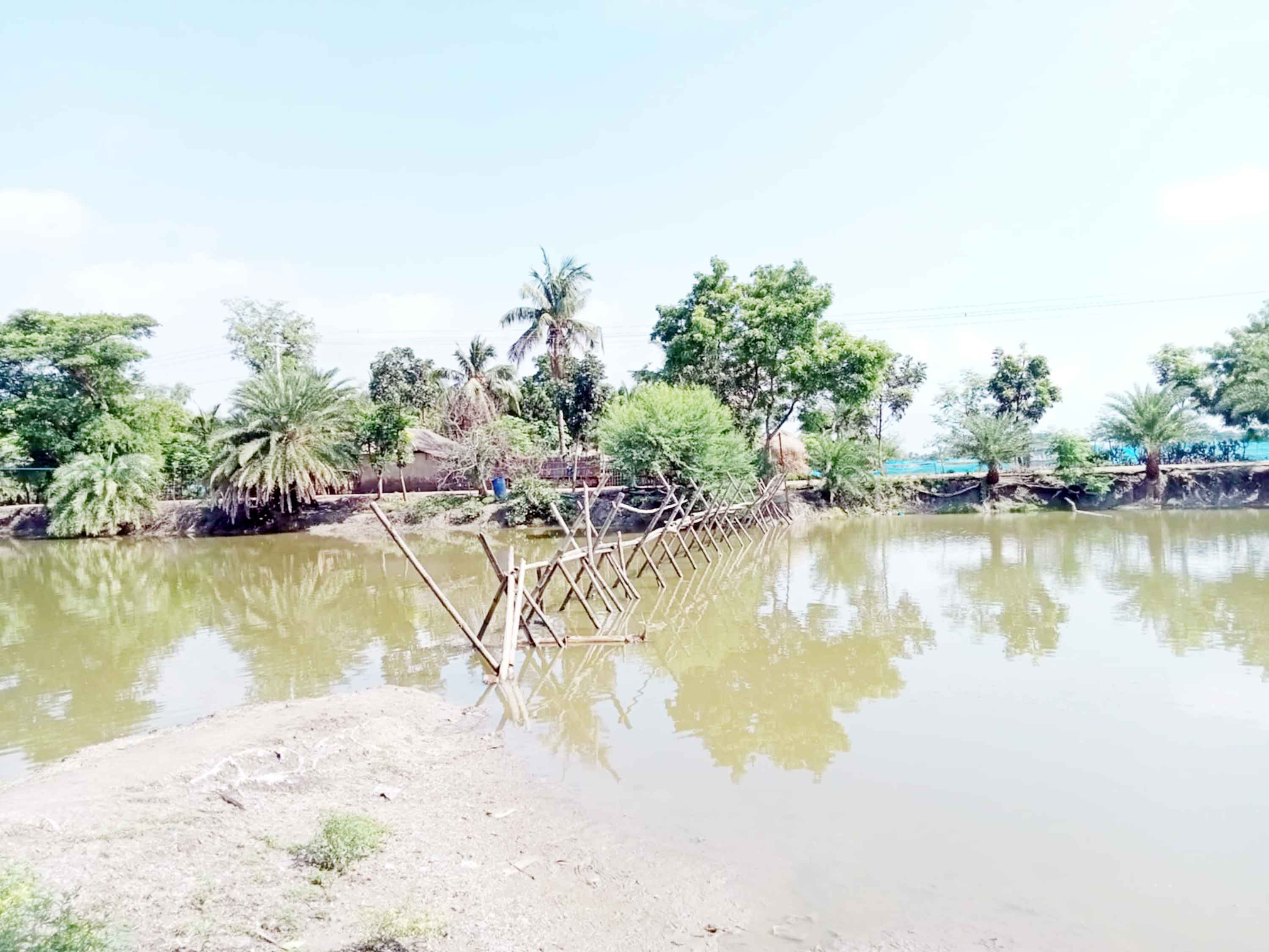 পাইকগাছায় নৌর নদীর ওপর বাঁশের সাঁকো